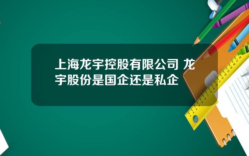 上海龙宇控股有限公司 龙宇股份是国企还是私企